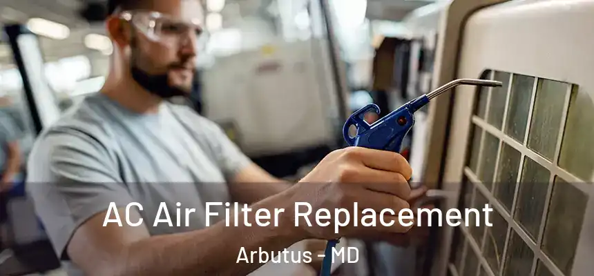  AC Air Filter Replacement Arbutus - MD