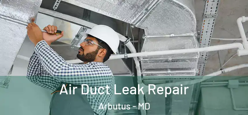 Air Duct Leak Repair Arbutus - MD