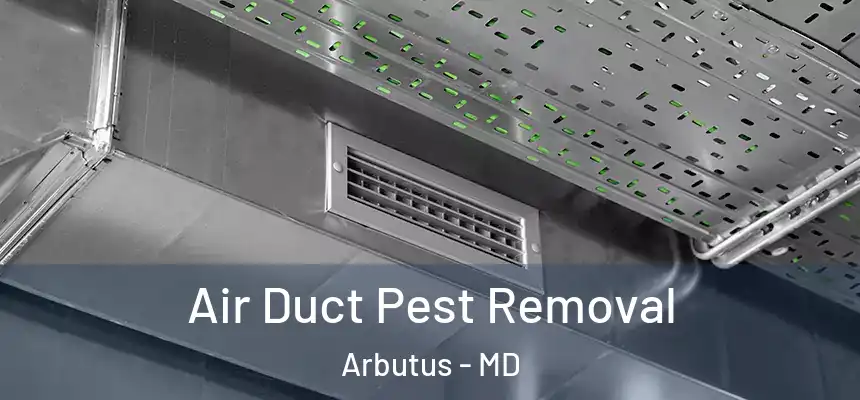 Air Duct Pest Removal Arbutus - MD