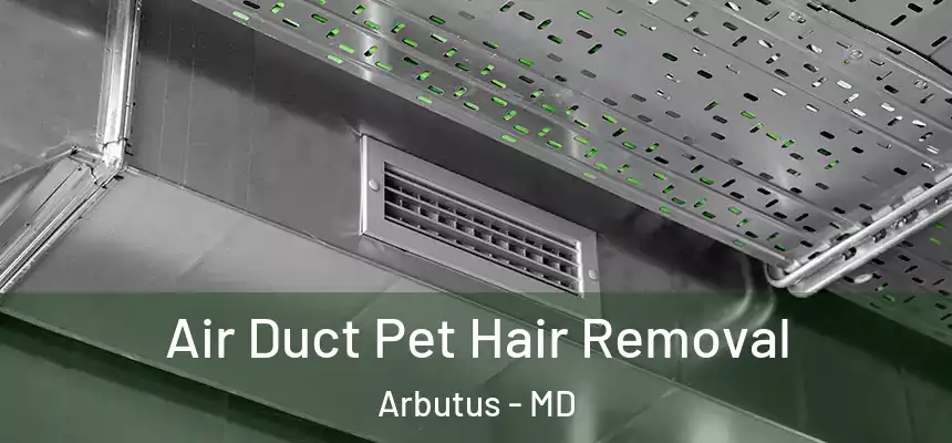  Air Duct Pet Hair Removal Arbutus - MD