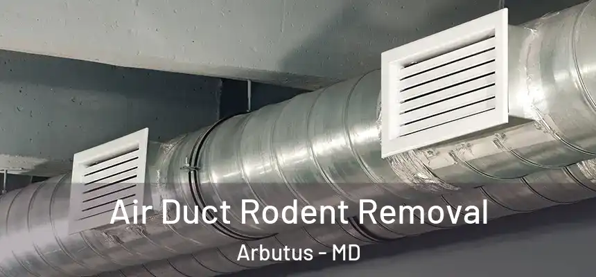  Air Duct Rodent Removal Arbutus - MD