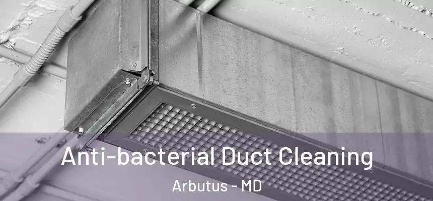 Anti-bacterial Duct Cleaning Arbutus - MD