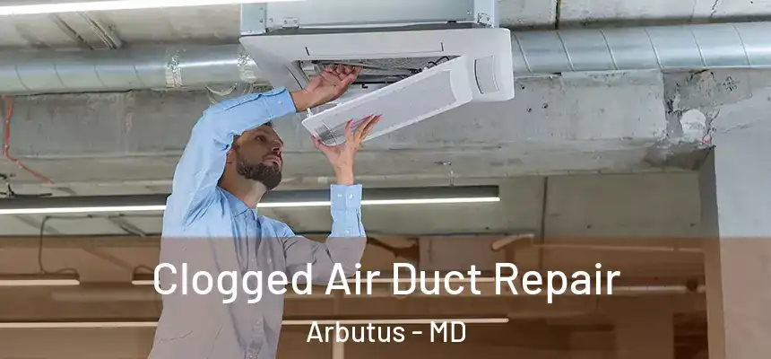  Clogged Air Duct Repair Arbutus - MD