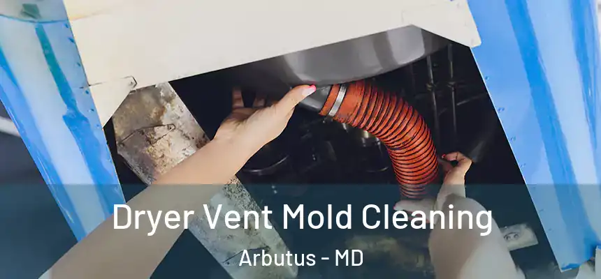  Dryer Vent Mold Cleaning Arbutus - MD