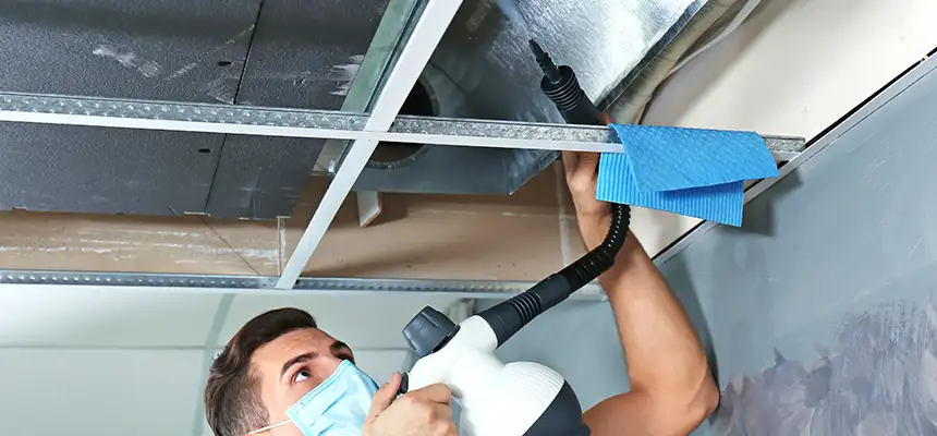 Our Air Duct Rodent Removal Services in Arbutus, MD