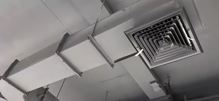 Restorative Allergy Relief Vent Cleaning – Coil, Blower & Housing Detail in Arbutus