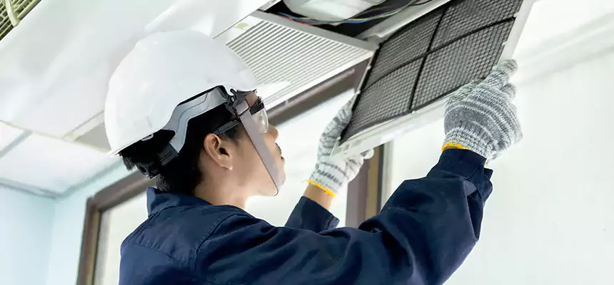 Our Mold & Mildew Removal from Air Ducts Services in Arbutus, MD