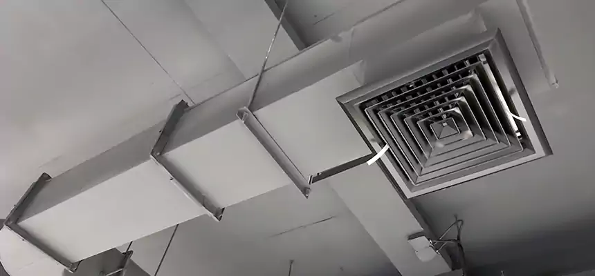 Our Pest Removal From Ducts Services in Arbutus, MD