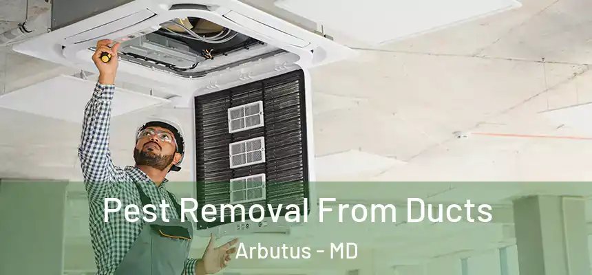 Pest Removal From Ducts Arbutus - MD