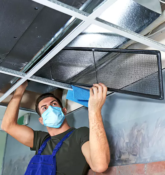 About Air Duct Bacteria Removal in Arbutus