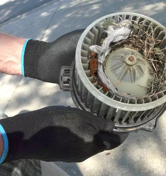 About Air Duct Rat Removal in Arbutus, MD