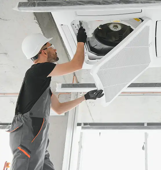 About Air Duct Rodent Removal in Arbutus, MD