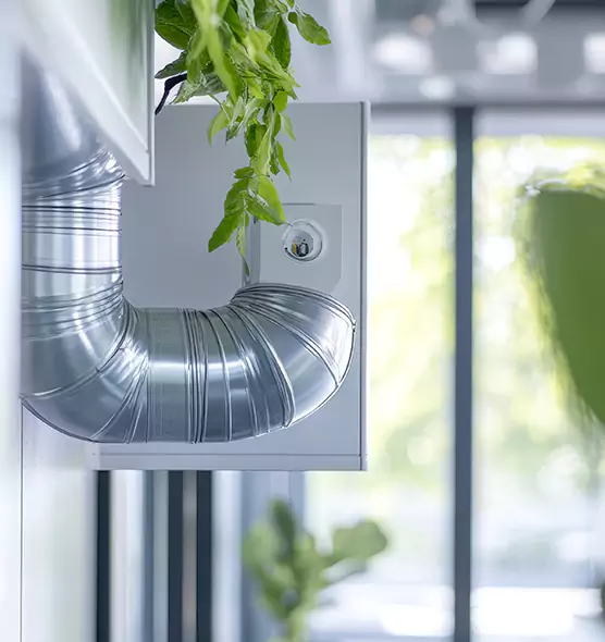 Professional Eco-Safe Dryer Vent Cleaning in Arbutus, MD