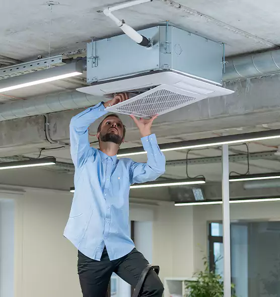 Advanced Rodent Droppings In Vents in Arbutus, MD