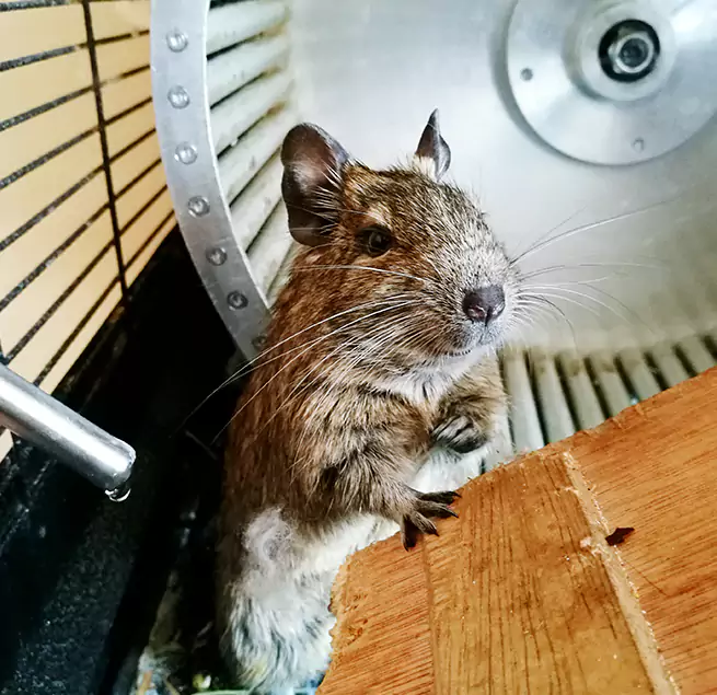 Why Homeowners & Businesses Trust Us Arbutus, MD?