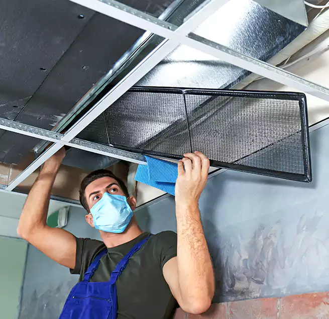 Why Homeowners Businesses Trust Us in Arbutus, MD