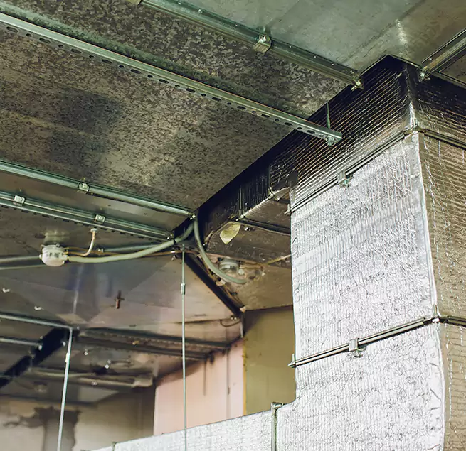 Why Homeowners & Businesses Trust Us in Arbutus, MD?